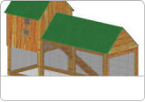 Build a Chicken Coop - Homes for Chickens
